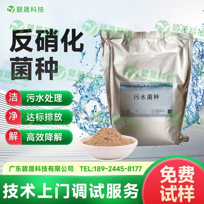 反硝化菌種